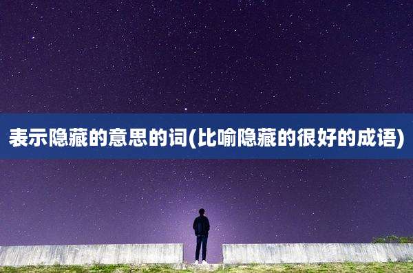 表示隐藏的意思的词(比喻隐藏的很好的成语)