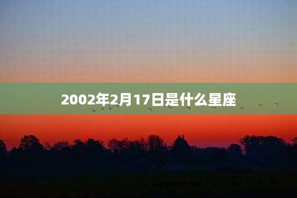 2002年2月17日是什么星座