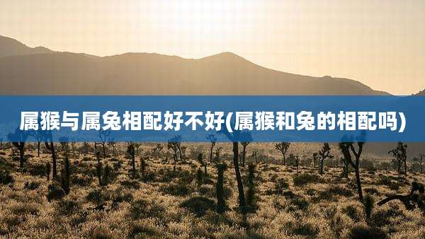 属猴与属兔相配好不好(属猴和兔的相配吗)