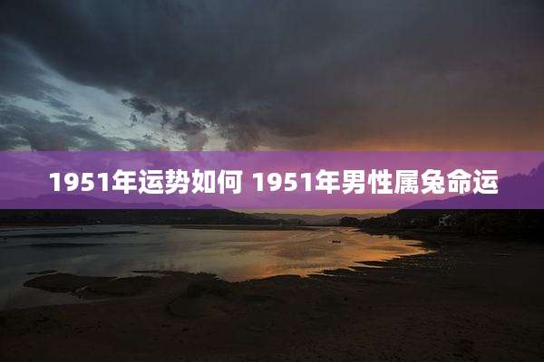 1951年运势如何 1951年男性属兔命运