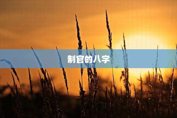 制官的八字