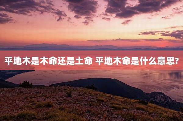 平地木是木命还是土命 平地木命是什么意思?