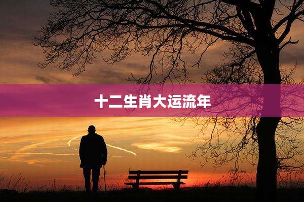 十二生肖大运流年