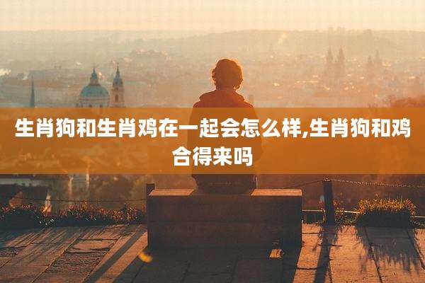 生肖狗和生肖鸡在一起会怎么样,生肖狗和鸡合得来吗