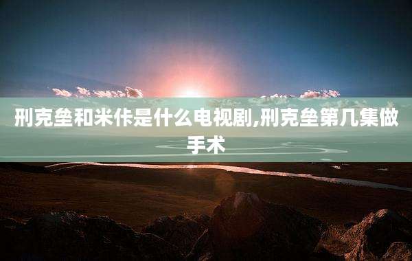 刑克垒和米佧是什么电视剧,刑克垒第几集做手术