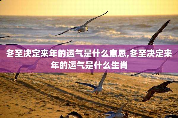 冬至决定来年的运气是什么意思,冬至决定来年的运气是什么生肖