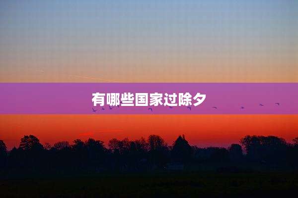 有哪些国家过除夕
