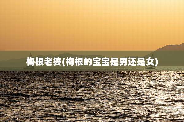 梅根老婆(梅根的宝宝是男还是女)