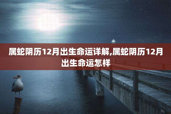 属蛇阴历12月出生命运详解,属蛇阴历12月出生命运怎样