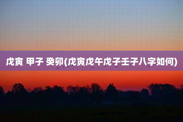 戊寅 甲子 癸卯(戊寅戊午戊子壬子八字如何)