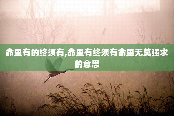 命里有的终须有,命里有终须有命里无莫强求的意思