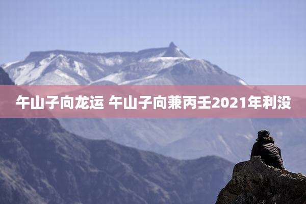 午山子向龙运 午山子向兼丙壬2021年利没