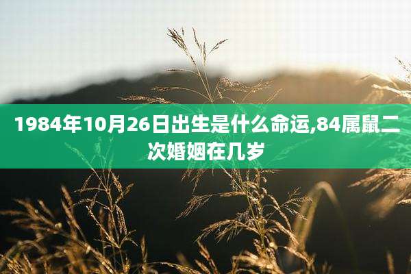 1984年10月26日出生是什么命运,84属鼠二次婚姻在几岁