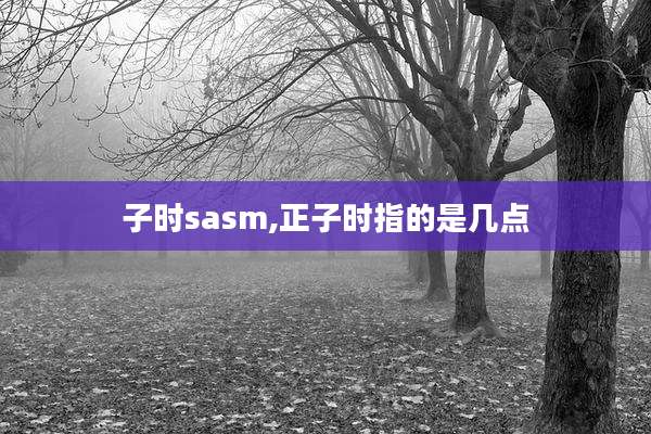 子时sasm,正子时指的是几点
