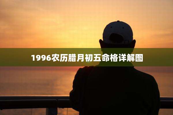 1996农历腊月初五命格详解图