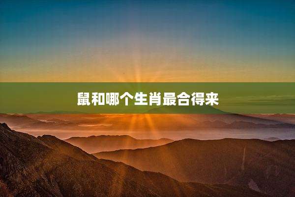 鼠和哪个生肖最合得来