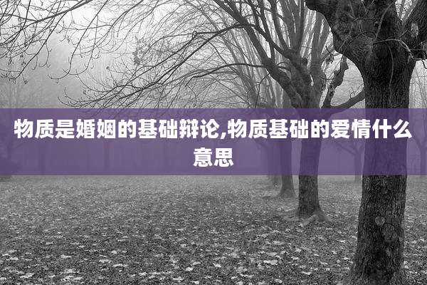 物质是婚姻的基础辩论,物质基础的爱情什么意思