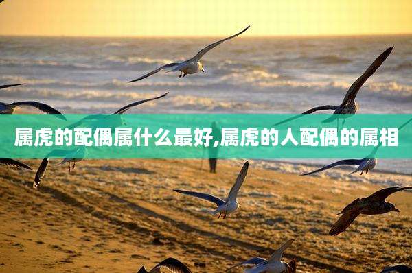 属虎的配偶属什么最好,属虎的人配偶的属相