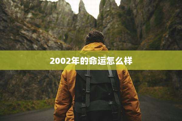 2002年的命运怎么样