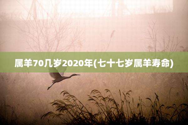 属羊70几岁2020年(七十七岁属羊寿命)