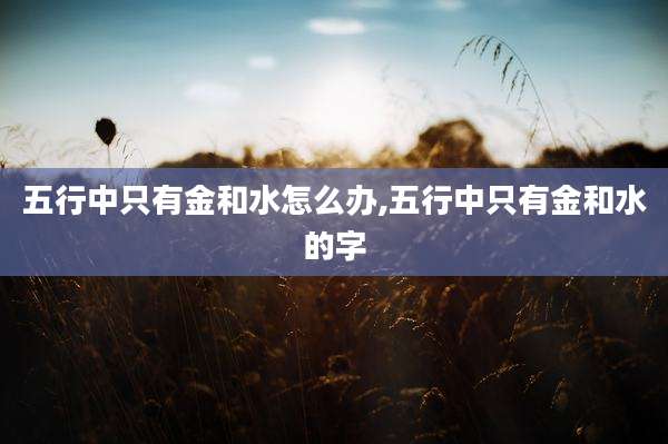 五行中只有金和水怎么办,五行中只有金和水的字