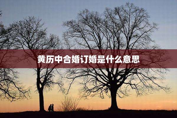黄历中合婚订婚是什么意思