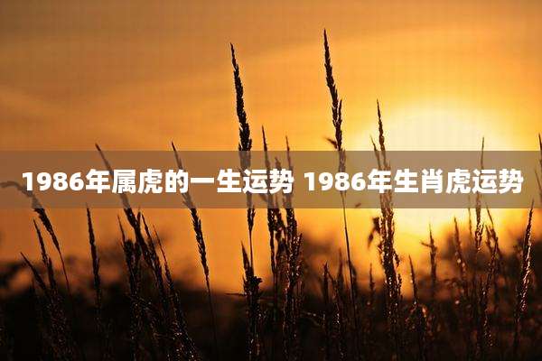 1986年属虎的一生运势 1986年生肖虎运势