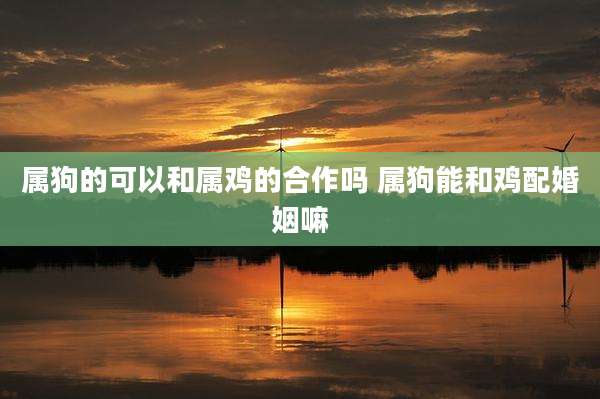 属狗的可以和属鸡的合作吗 属狗能和鸡配婚姻嘛
