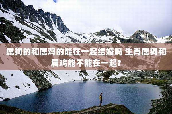 属狗的和属鸡的能在一起结婚吗 生肖属狗和属鸡能不能在一起?