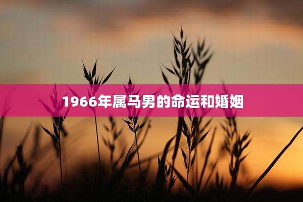 1966年属马男的命运和婚姻
