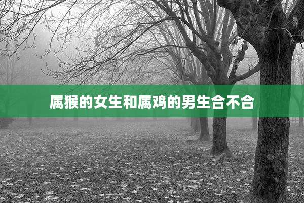 属猴的女生和属鸡的男生合不合
