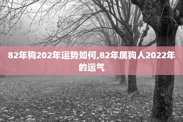 82年狗202年运势如何,82年属狗人2022年的运气