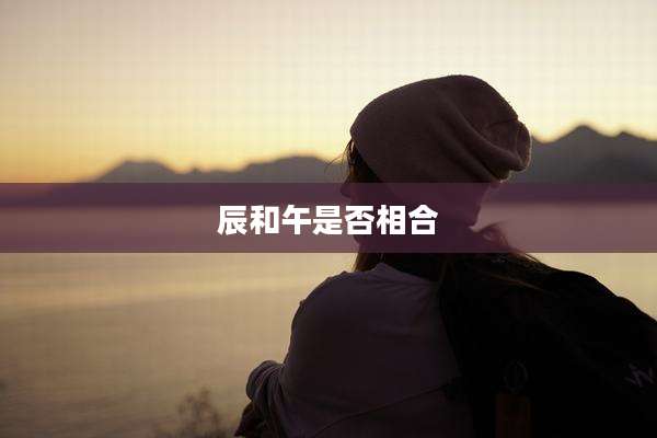 辰和午是否相合