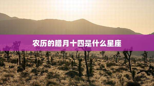 农历的腊月十四是什么星座