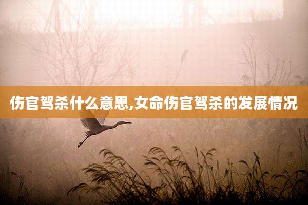 伤官驾杀什么意思,女命伤官驾杀的发展情况