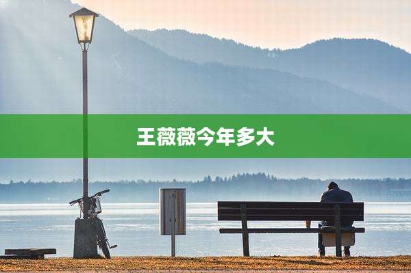 王薇薇今年多大