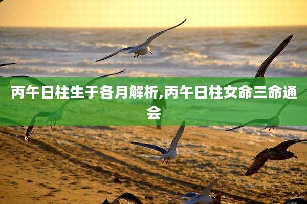 丙午日柱生于各月解析,丙午日柱女命三命通会