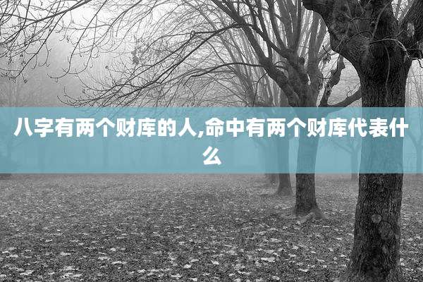 八字有两个财库的人,命中有两个财库代表什么