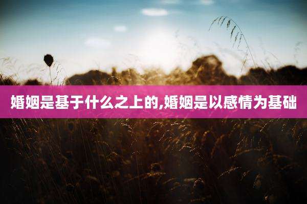 婚姻是基于什么之上的,婚姻是以感情为基础