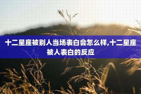 十二星座被别人当场表白会怎么样,十二星座被人表白的反应