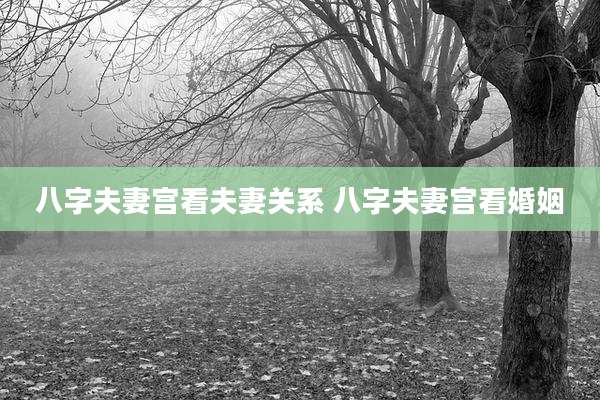 八字夫妻宫看夫妻关系 八字夫妻宫看婚姻