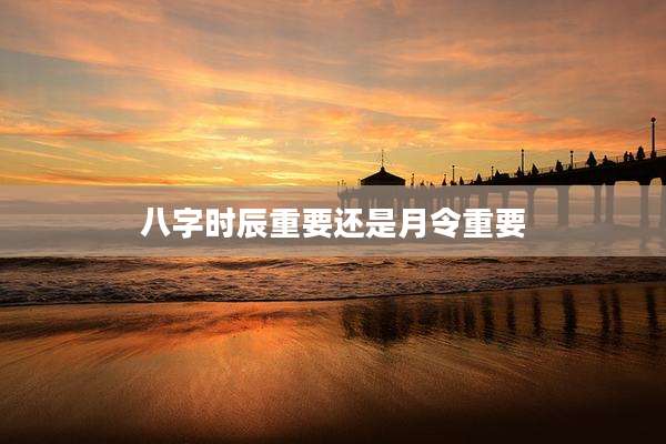 八字时辰重要还是月令重要