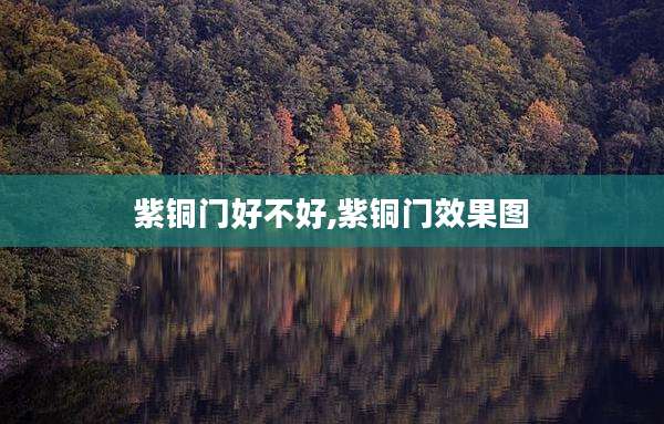 紫铜门好不好,紫铜门效果图