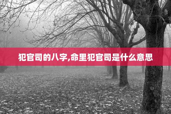 犯官司的八字,命里犯官司是什么意思