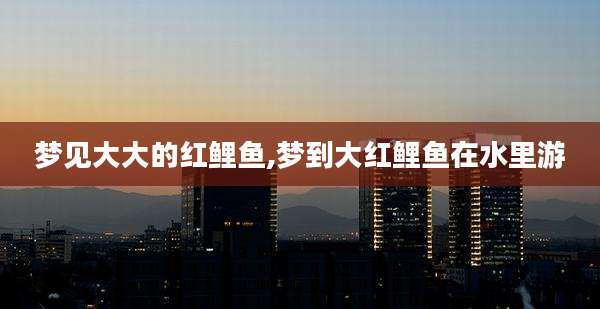 梦见大大的红鲤鱼,梦到大红鲤鱼在水里游