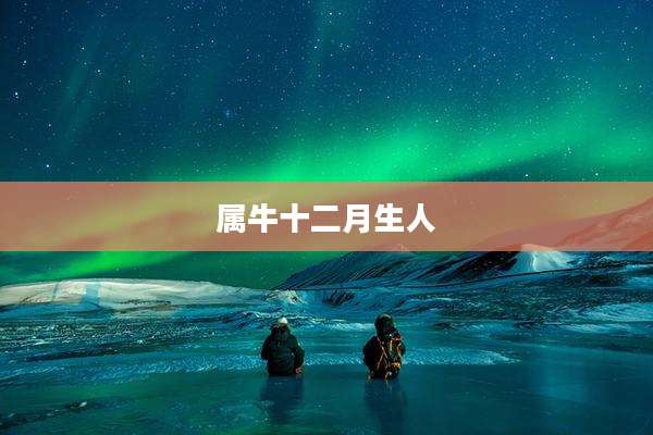 属牛十二月生人