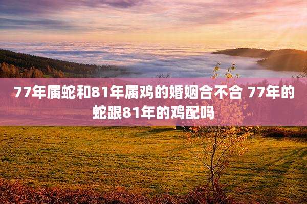 77年属蛇和81年属鸡的婚姻合不合 77年的蛇跟81年的鸡配吗