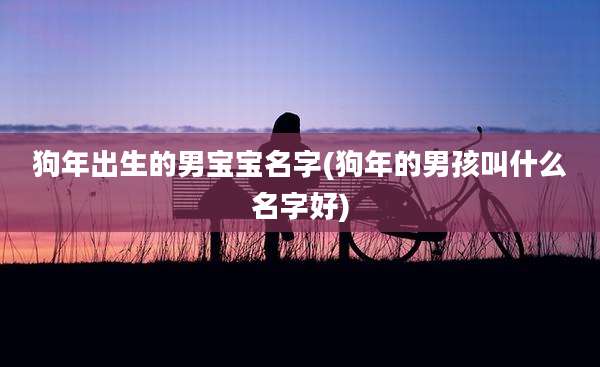 狗年出生的男宝宝名字(狗年的男孩叫什么名字好)