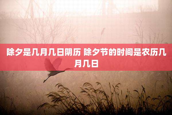 除夕是几月几日阴历 除夕节的时间是农历几月几日
