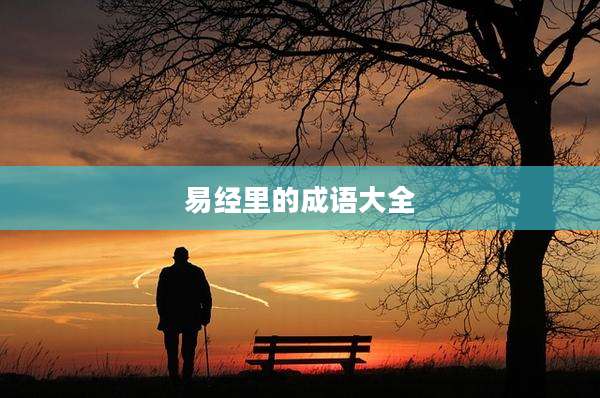 易经里的成语大全